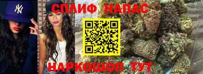 ПСИЛОЦИБИНОВЫЕ ГРИБЫ Гай