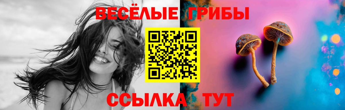 Новошахтинск  Галлюциногенные грибы мухоморы  Галлюциногенные грибы Magic Shrooms  Вход с VPN 